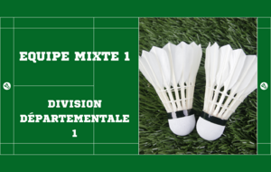 D1 Poule A 77-UMSPC-1 D1 contre 77-BSGBAD-1 D1